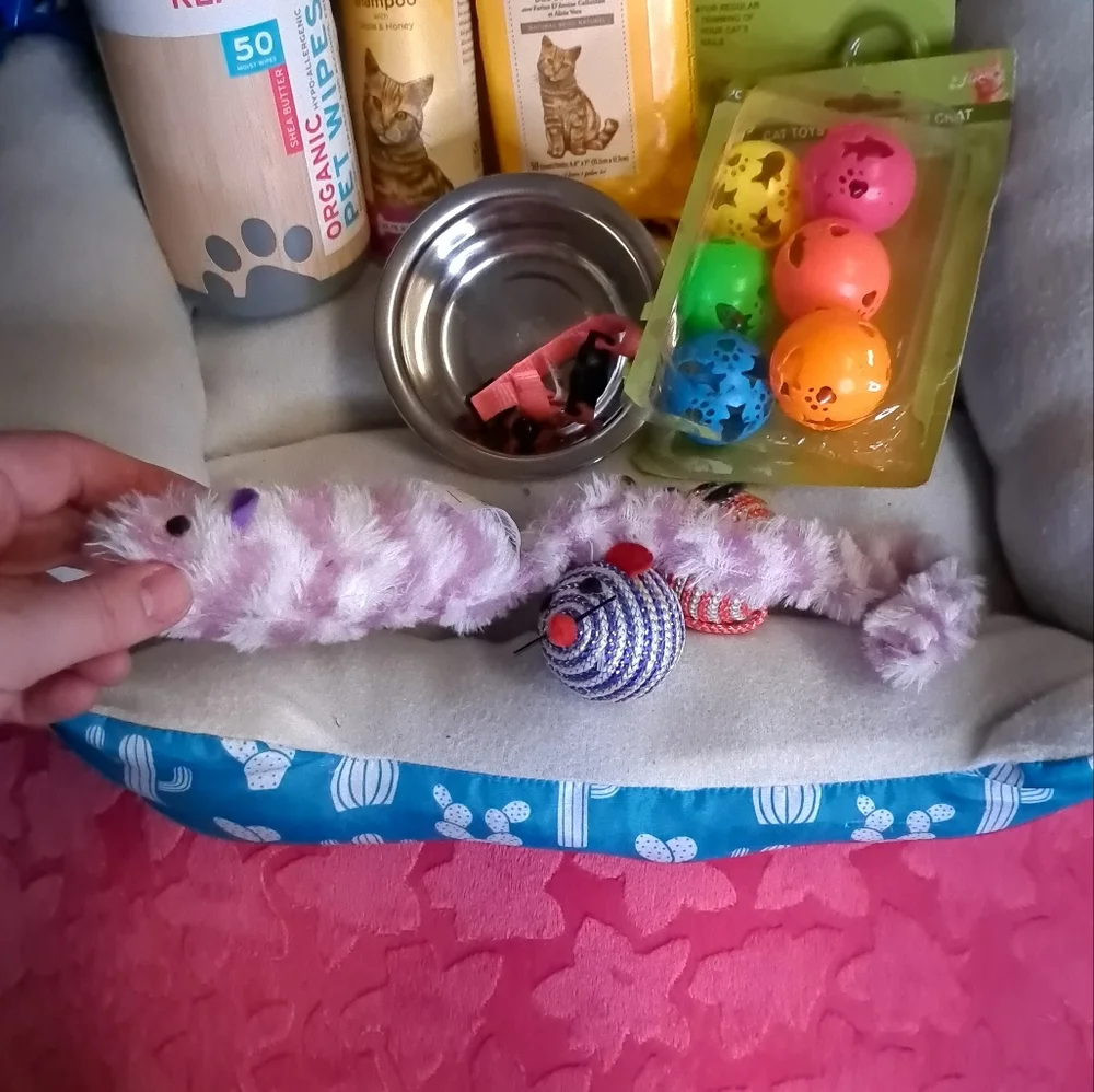 Kitty Kat Bundle Cat Care Bundle Kitten Balls Bed Dish Wipes Pet Spray Nail Trim